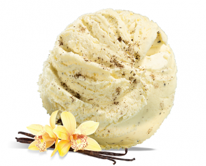 Heavenly Vanilla Gelato